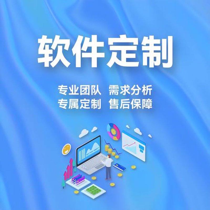 企业系统定制：数字化转型的有力工具